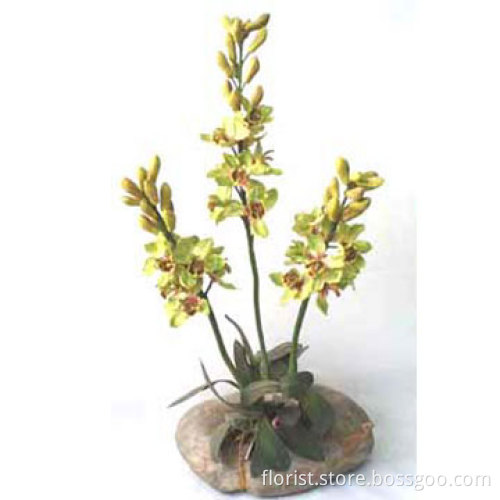 Lg.Cymbidium Orchid W/Stone Pot